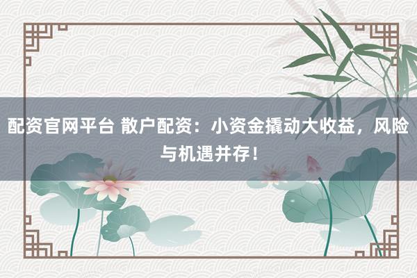 配资官网平台 散户配资：小资金撬动大收益，风险与机遇并存！