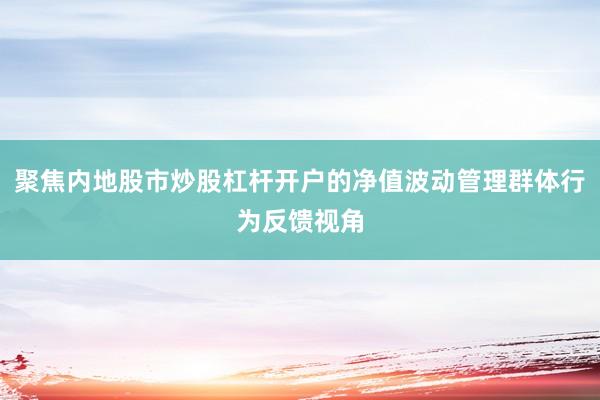 聚焦内地股市炒股杠杆开户的净值波动管理群体行为反馈视角