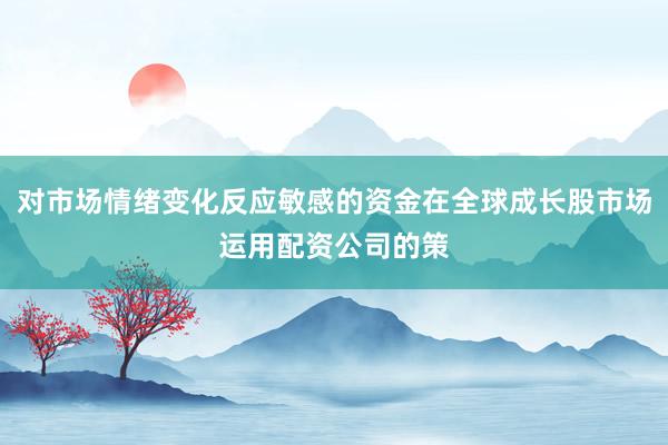 对市场情绪变化反应敏感的资金在全球成长股市场运用配资公司的策