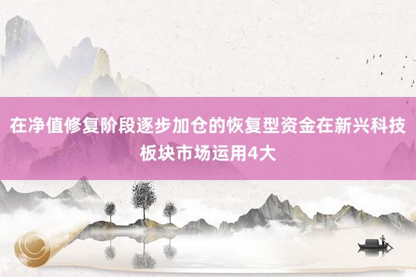 在净值修复阶段逐步加仓的恢复型资金在新兴科技板块市场运用4大