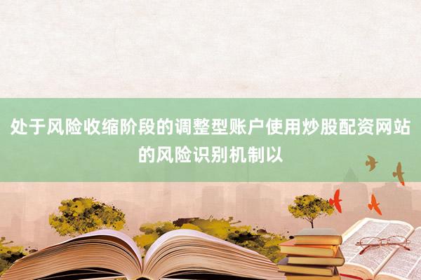 处于风险收缩阶段的调整型账户使用炒股配资网站的风险识别机制以