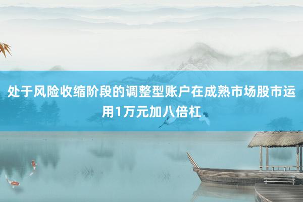 处于风险收缩阶段的调整型账户在成熟市场股市运用1万元加八倍杠