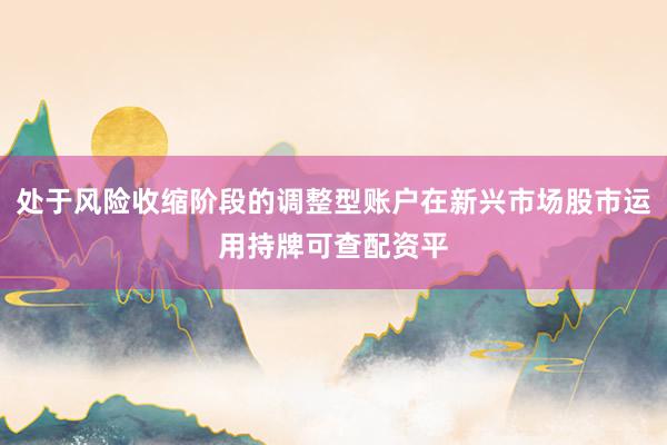 处于风险收缩阶段的调整型账户在新兴市场股市运用持牌可查配资平