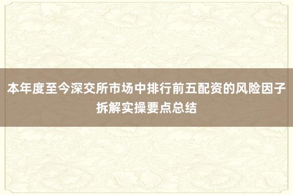 本年度至今深交所市场中排行前五配资的风险因子拆解实操要点总结