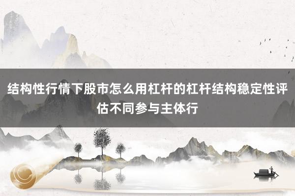 结构性行情下股市怎么用杠杆的杠杆结构稳定性评估不同参与主体行