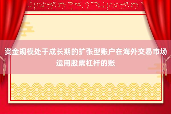 资金规模处于成长期的扩张型账户在海外交易市场运用股票杠杆的账